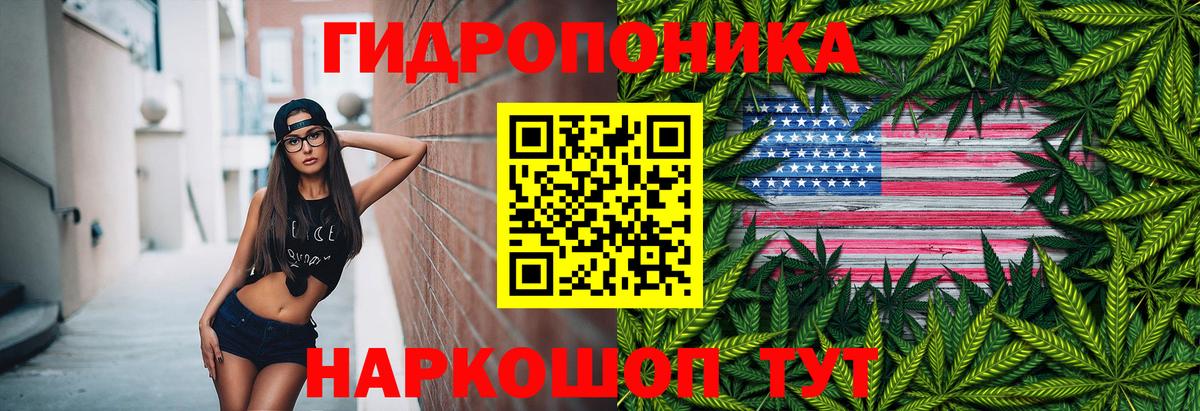 Бошки Шишки AK-47 Красногорск